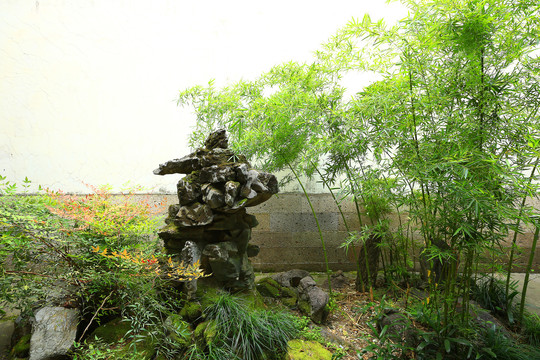 庭院中的竹子假山 自然與藝術(shù)的完美融合