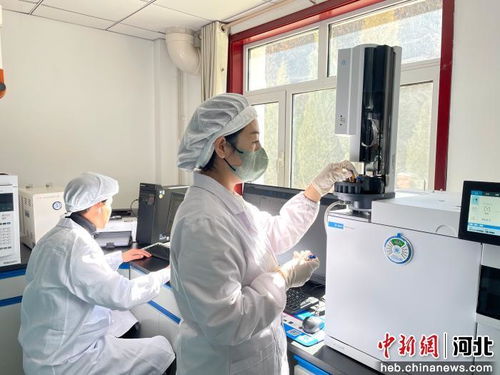 以科技創(chuàng)新為引擎，厚植新質(zhì)生產(chǎn)力發(fā)展根基 河北寬城的技術(shù)開發(fā)之路